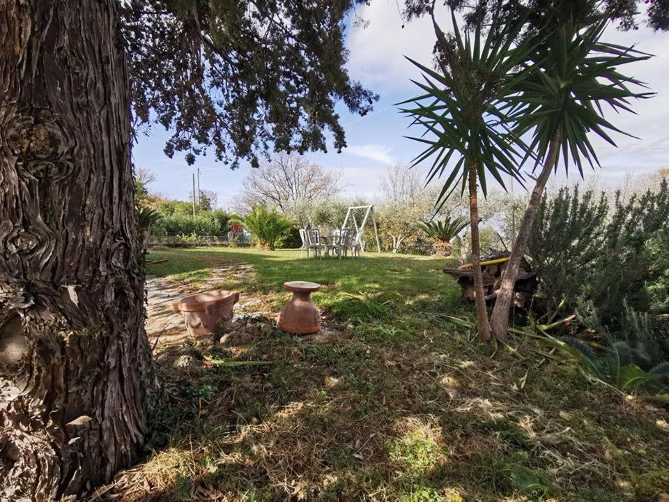Bed & Breakfast Villa Flora Eredita Exterior photo